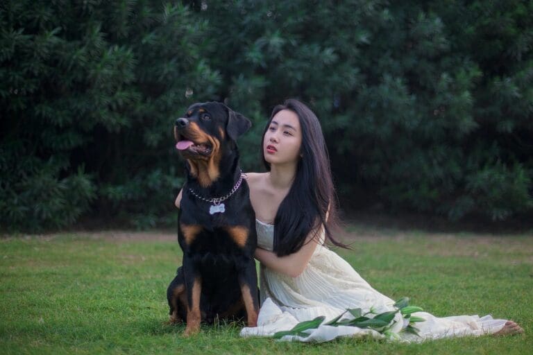 Dog at a wedding celebration