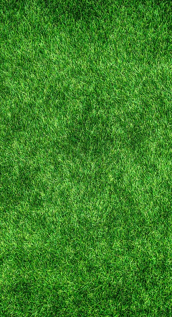 Grass lawn for a greener wedding celebration